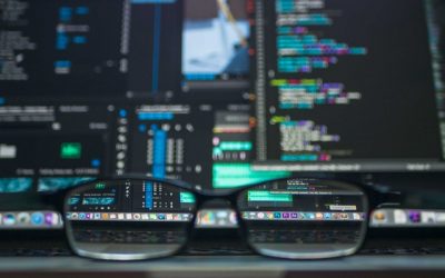 I Don’t Care About Data Breach: El Papel del Gobierno en la Seguridad en Internet