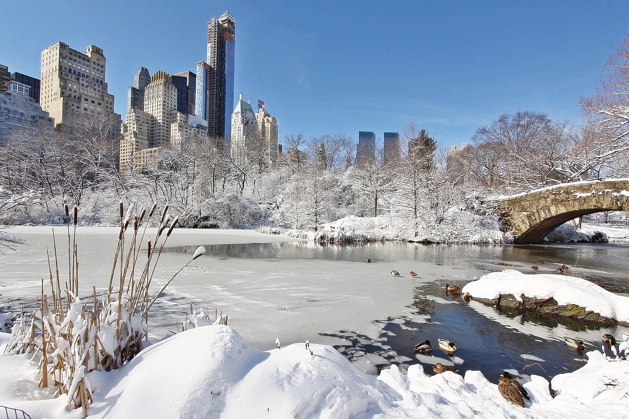 New York City with snow